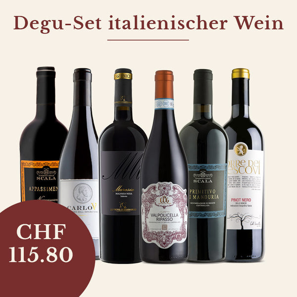Degustations-Set italienischer Wein